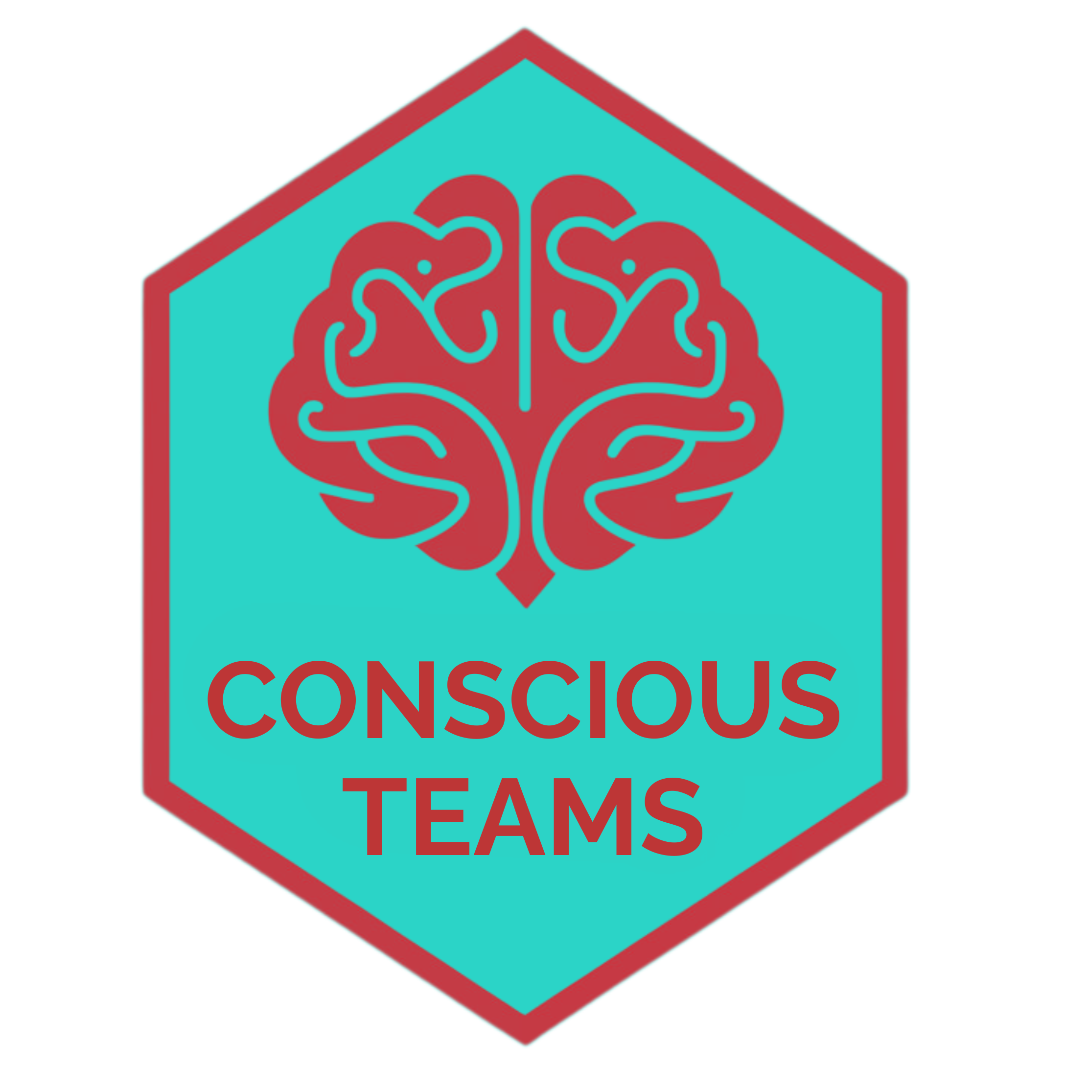 Conscious Teams